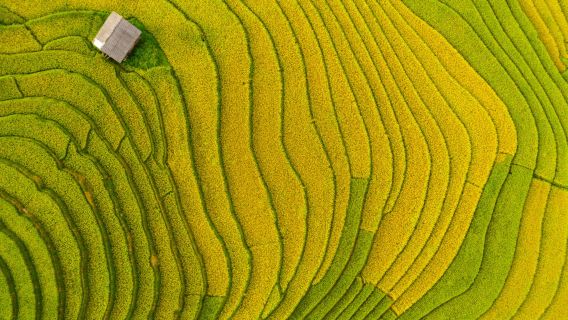 Depuis Hanoï: visite de Sapa en voiture de luxe avec nuitée – Cat Cat, Fansipan et randonnée dans les villages