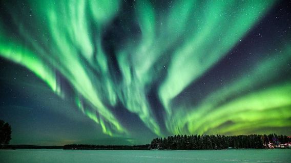 Nordlichter in Rovaniemi, Finnland: Budget-Reisebus-Tour/Komfort-Kleingruppe/Fototour mit Fotos