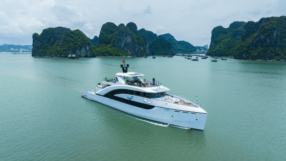 One day tour to Halong Bay by Luxury Yatch| Private Transfer| Culture Route