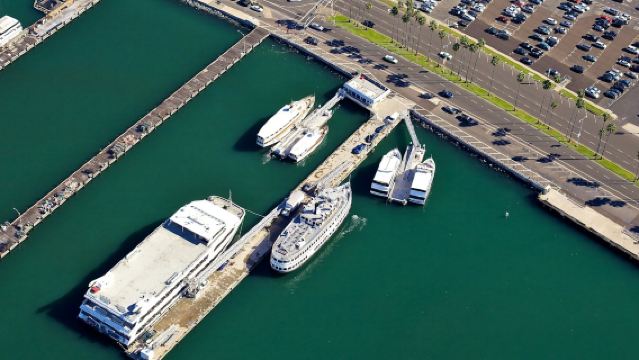 聖地牙哥賞鯨海豚之旅