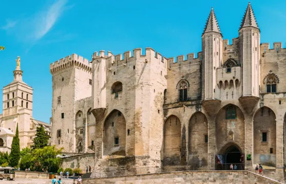 教皇宫及亞維儂橋：入場門票