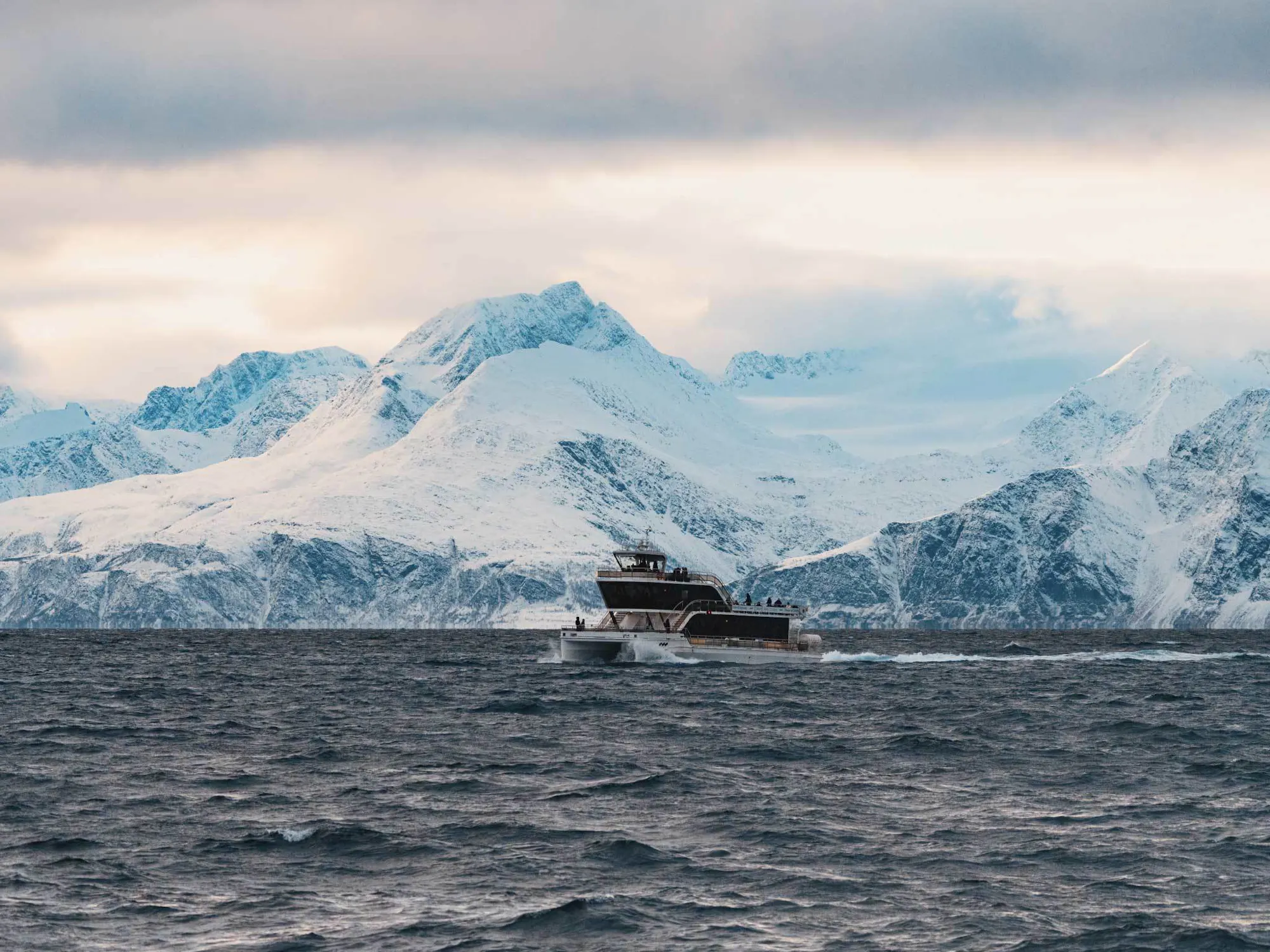 Tromso Fjords sightseeing cruise experience in Norway