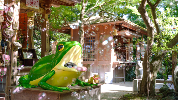 YanagawaTours