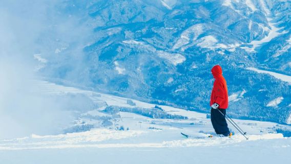 名古屋往復ダイナランドスキー場ワンデーツアー リフト券入場券セットメニュー付きオプション