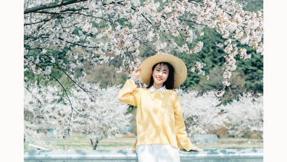 日本秋田Tripメモリー【運転手兼ガイド兼Tripメモリー+ウェディングドローン撮影・ショートムービー+メイク・衣装+旅程カスタマイズ+人数無制限】