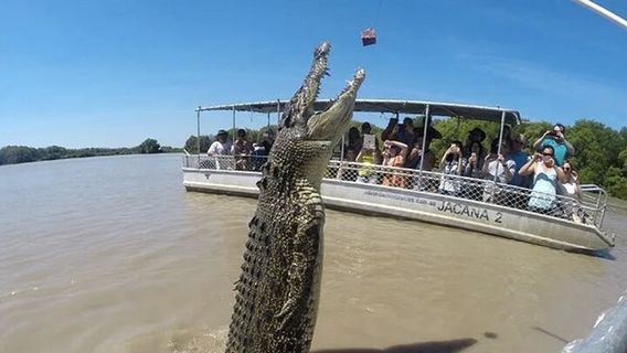 DarwinTours
