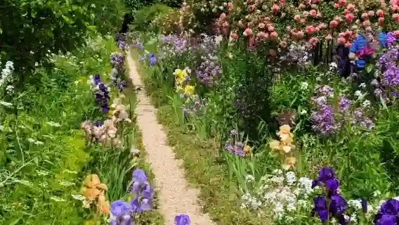 諾曼第登陸：象鼻山＋莫奈花園【12小時包車一日遊】