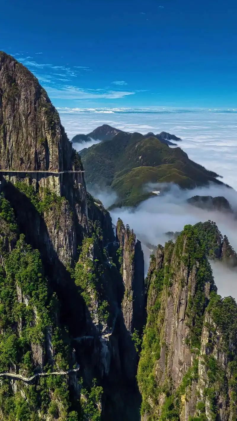 郴州莽山五指峰景區一日遊（2-6人小團）