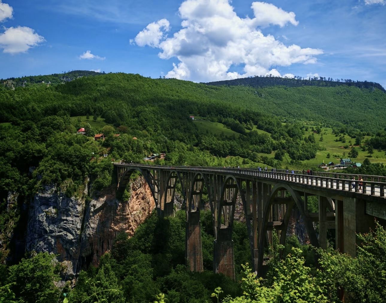 Montenegro's Alpine Secret: Kotor Round-Trip to Black Lake, Durmitor National Park & Tara Canyon