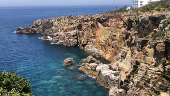 日本大阪+和歌山+白濱柯南同款一日遊/行程可調-可客製化多日