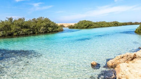 DahabTours