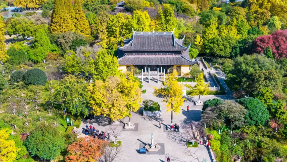 Coche servicio de coche privado con conductor en Changzhou, guía, intérprete, acompañante local, recogida, exposición turística, inspección comercial, acompañamiento médico.
