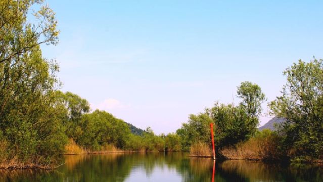 Virpazar: Lake Skadar Private Wildlife Cruise & Wine Tasting
