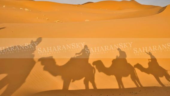 Ksar Ghilane: Camel Ride with Optional Fort Visit