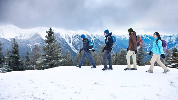 Banff: Winter-Wildniswanderung mit Wildtier-Tracking – 2 Stunden