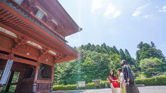 OsakaTour with Carpool