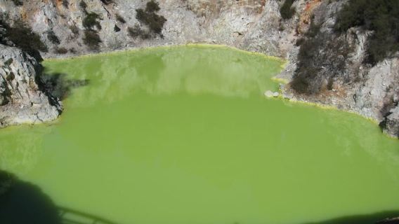 Von Rotorua: Wai O Tapu & Waimangu Eco Thermal Morning Tour