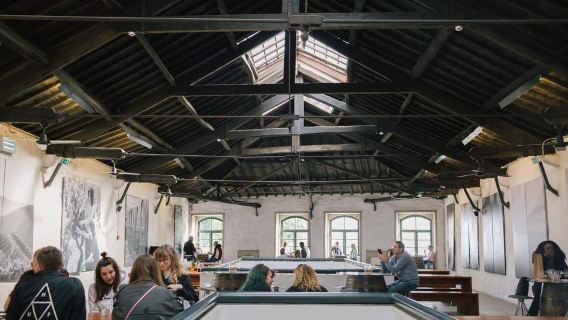 Vila Nova de Gaia: degustazione di vino Porto con abbinamento di formaggi