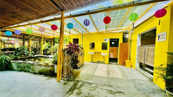 다낭: 호이안 고대 도시와 코코넛 숲 투어