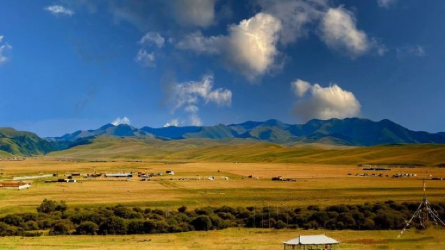One-Day Tour from Lanzhou: Labrang Monastery, Sangke Grassland, and Ganjia Secret Land