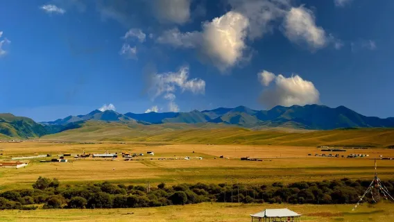 Eendaagse tour van Lanzhou naar Labrang-klooster, Sangke-graslanden en het mysterieuze Ganjia