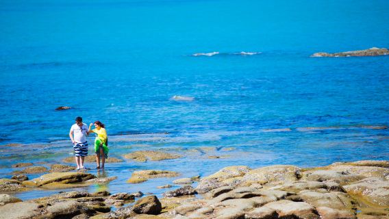 China Hainan + Cultura de Nanshan en Sanya + Pequeña y Gran Cueva del Cielo + Itinerario personalizable Viaje de negocios