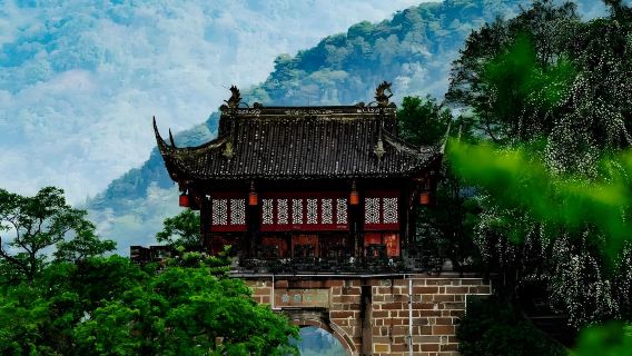 Night cruise in Dujiangyan + South Bridge night view half-day tour (afternoon departure)|Adjustable time