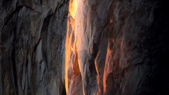 美國舊金山來回優勝美地國家公園一日遊-諮詢立減-12小時行程