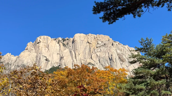 韓國首爾出發：雪岳山國立公園+洛山寺一日包車遊