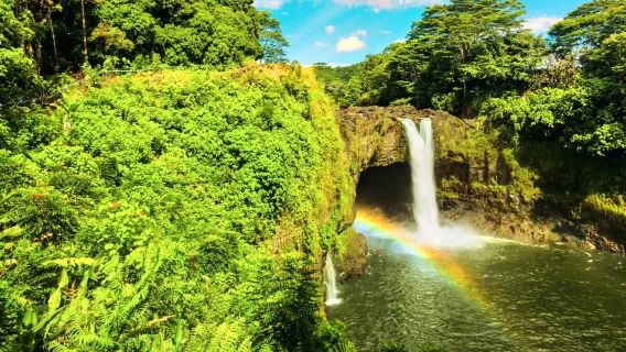 USA: Tour di un giorno in piccolo gruppo alle attrazioni principali dell'Isola Grande delle Hawaii | Partenza da Kailua-Kona | Tour di gruppo in inglese※
