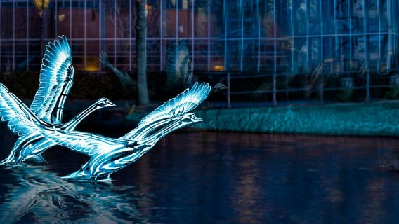 Amsterdam Light Festival: Canal Cruise from A'DAM Tower