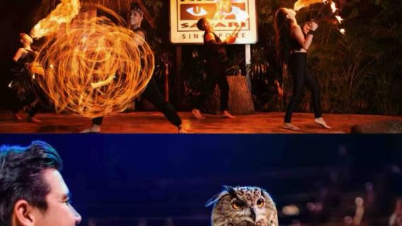 新加坡-鴨子船-水上探險樂園-夜間野生動物園【市區接駁服務】