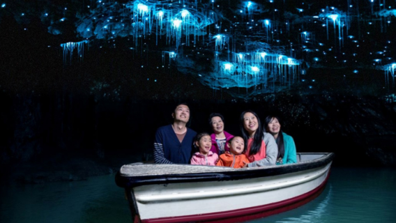 Exploring the Waitomo Glowworm Caves in New Zealand's North Island (Optional Black Water Rafting/Ruakuri Cave/Aranui Cave)