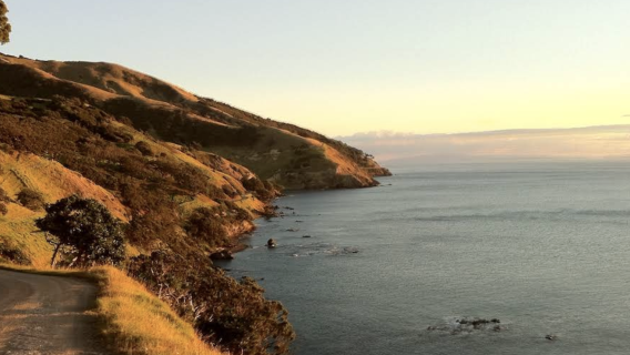 紐西蘭奧克蘭-懷希基島+葡萄酒莊一日遊【中文專車】