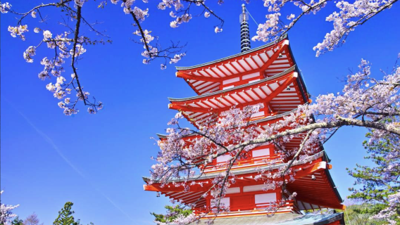 Osaka round-trip | Nara Park & Kyoto - Kinkaku-ji + Tenryu-ji + Arashiyama + Fushimi Inari Taisha