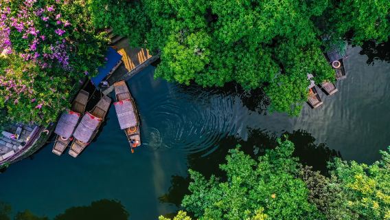 Foshan, Guangdong, China—One-Day Tour of Ancestral Temple, Guangdong Cantonese Opera Museum, Fengjian Canaltown, and Qinghui Garden Museum