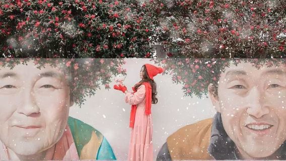 濟州島一日遊｜西南線限時｜追海豚+漢拿山+小羊肖恩｜14人團