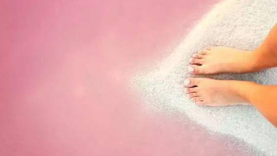 Cancun, Messico - Lago Rosa + Habitat dei Fenicotteri - Noleggio con conducente esclusivo andata e ritorno, biglietto d'ingresso non incluso