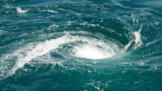 1-day Tour from Osaka: Awaji Island Naruto Bridge Tidal Whirlpools + Water Church + Yumebutai Coast