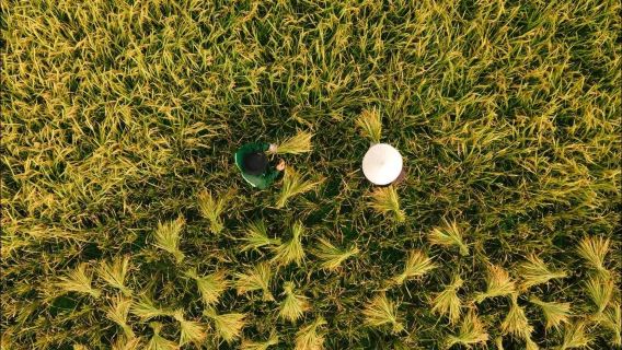 Частный тур в Майчау из Ханоя: Умиротворённые деревни и пейзажи