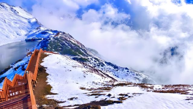 成都発 アルゴウ ワンデーツアー【専用車送迎/苔の森ハイキング】