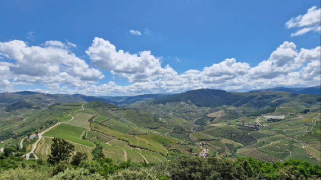 葡萄牙波爾圖-杜羅河谷-皮尼揚-酒廠【中文專車-愜意舒適】