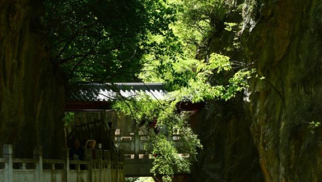 Lawatan sehari pergi-balik Longnan ke Daerah Cheng Xi Xia Song