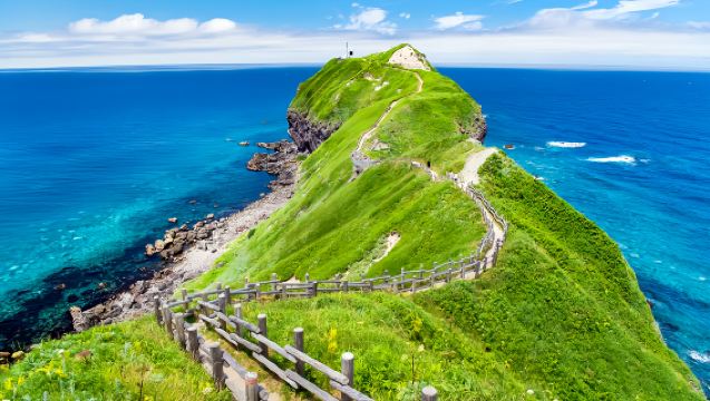 Hokkaido Summer Special: 1-day tour to Cape Kamui + Otaru + Shimamui + Shiroi Koibito Park