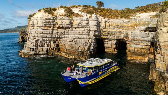 Тасманский скоростной катер/скоростной катер на острове Бруни/круизный катер у мыса Рауль [по желанию: туда и обратно из Хобарта/туда и обратно из Порт-Артура/туда и обратно с острова Бруни]