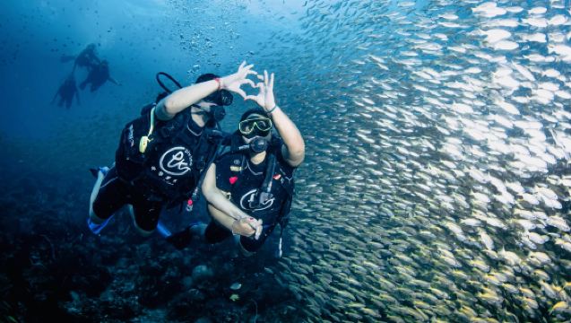 泰國皮皮島PKT中華潛水+瑪雅灣+小皮皮島體驗潛水水肺潛水4小時【潛店自營 體驗船潛 鯨鯊海龜 PADI五星】