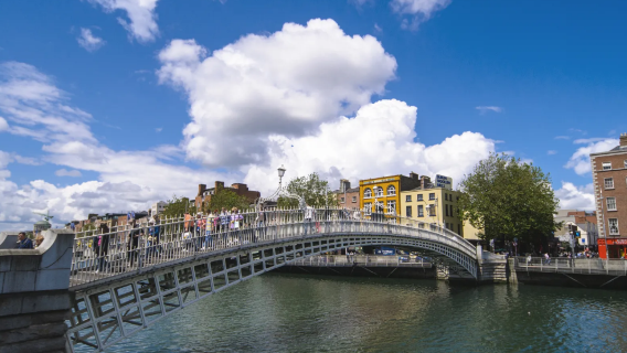 Dublin wizard of oz tour ┃ Phoenix park + Oscar Wilde house + St Patrick's cathedral