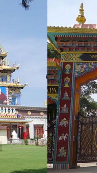 Mysore to Coorg Nature & Wildlife Private Day Tour
