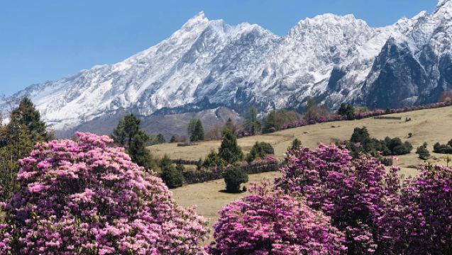 Tiger leaping gorge + Laoyao mountain 1-day tour + optional rideshare/private charter · Includes guide · Free trekking poles and mineral water