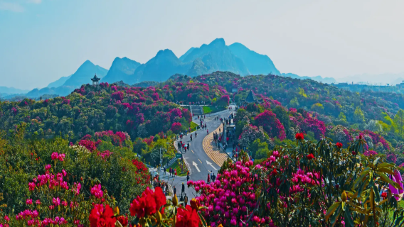 Гуйчжоу, Бицзе: водопад Сяншуйтань + древний город Шэсян + резиденция Сюаньвэй в Гуйчжоу + море цветов рододендронов Байли | индивидуальный трансфер по запросу